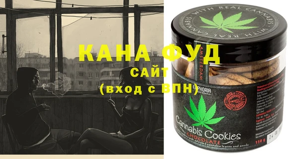 хмурый Алзамай