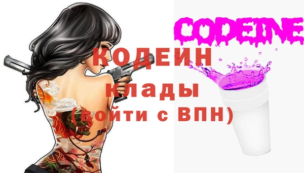 стаф Абаза