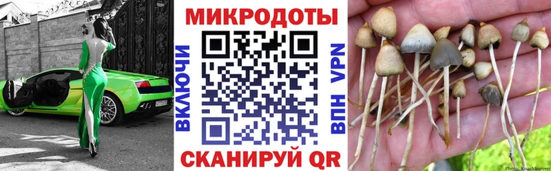Галлюциногенные грибы прущие грибы  Златоуст 