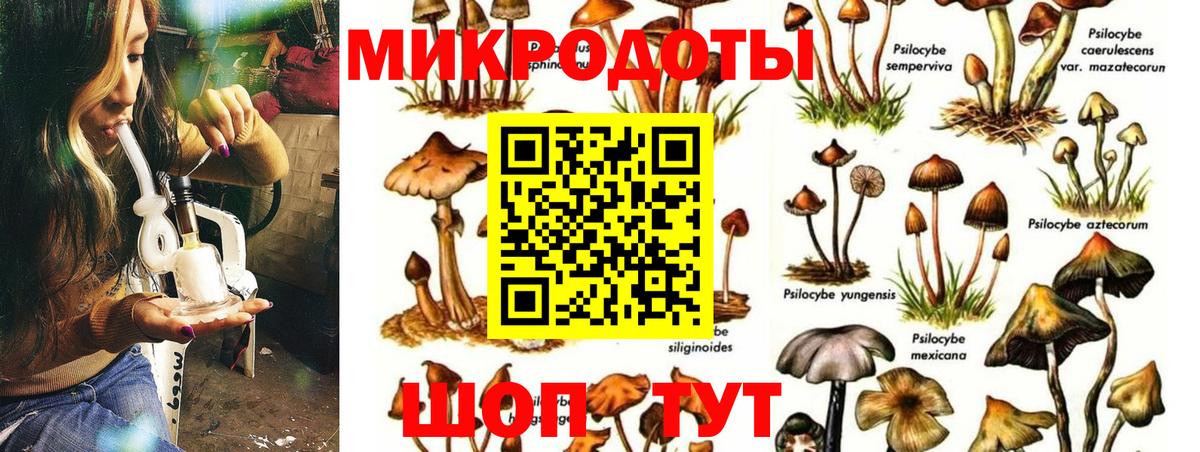 Псилоцибиновые грибы мухоморы  Вход с VPN  Златоуст 